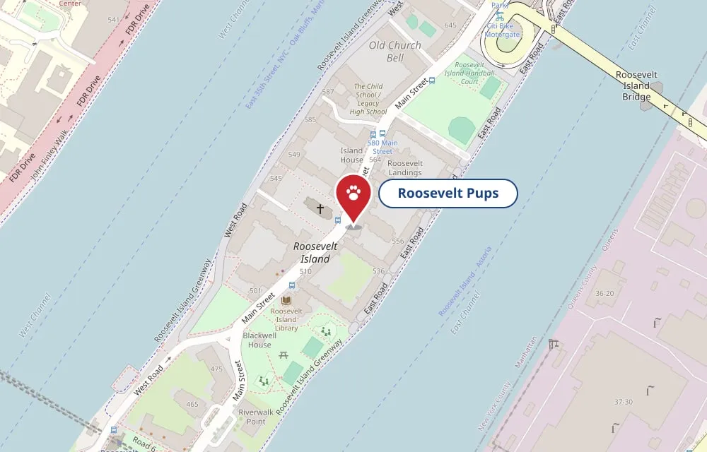 Map of Roosevelt Island with a pin at Roosevelt Pups, 544 Main Street